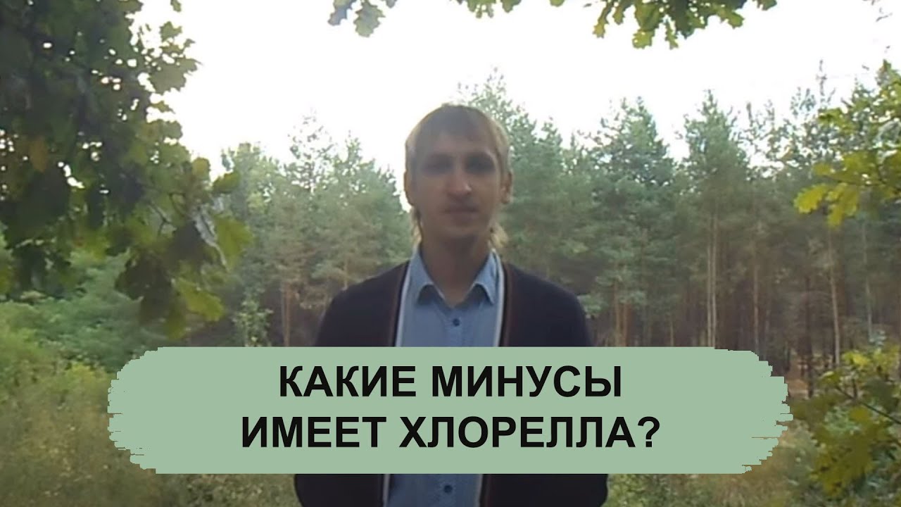 КАКИЕ МИНУСЫ ИМЕЕТ ХЛОРЕЛЛА?
