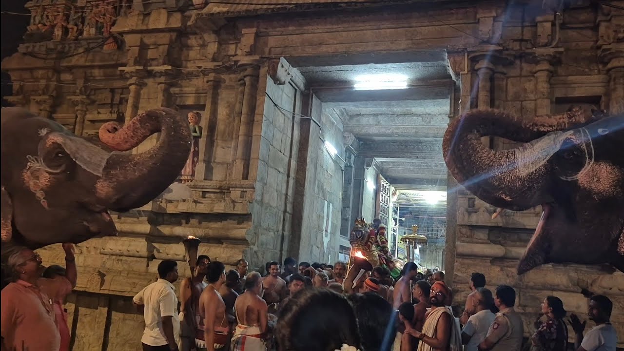 Sri Rangam Utsava Murthy Ooregimpu #srirangam #tamilnadu #travel #