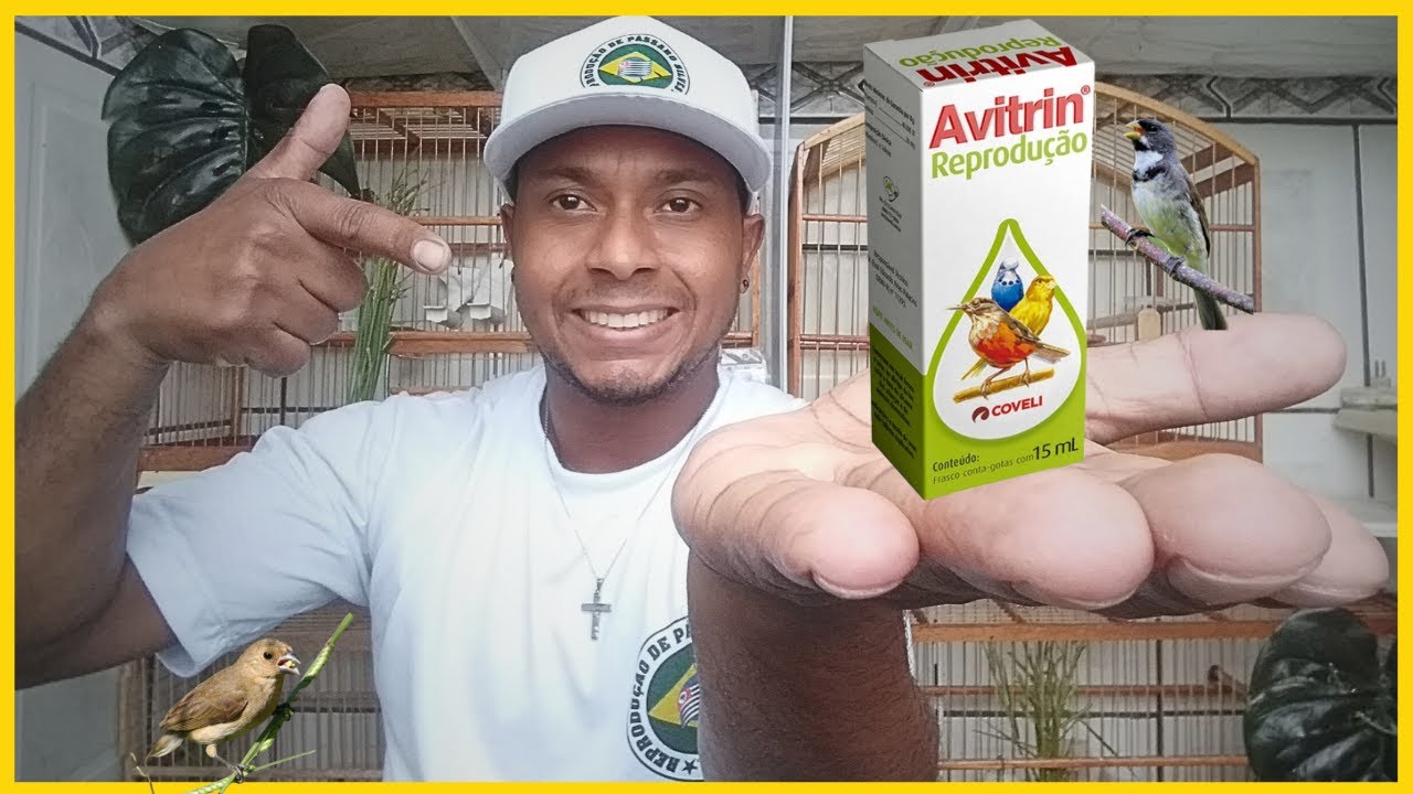 Avitrim reprodução agora ela pede gala pra ele!