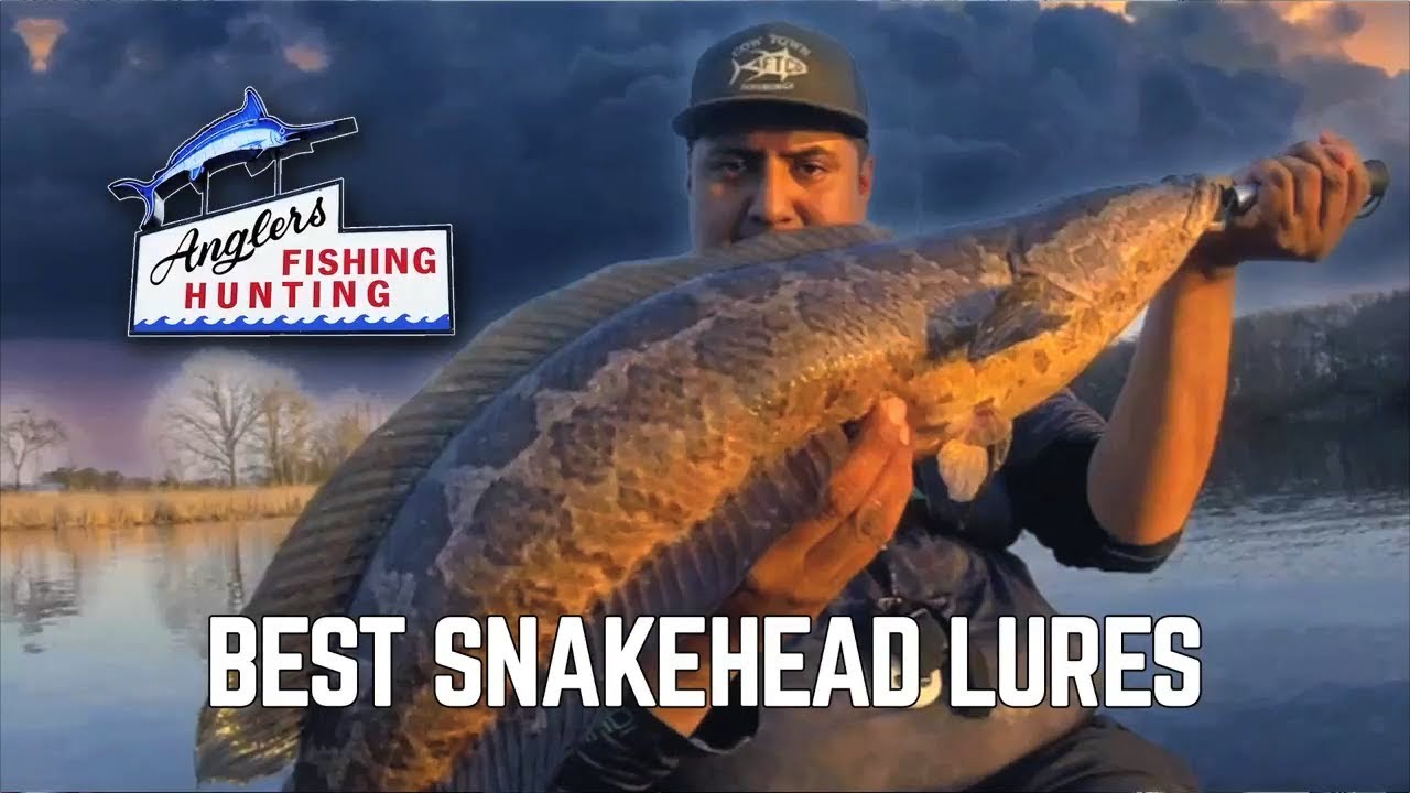 Anglers Sport Center's Top picks for Northern Snakehead lures