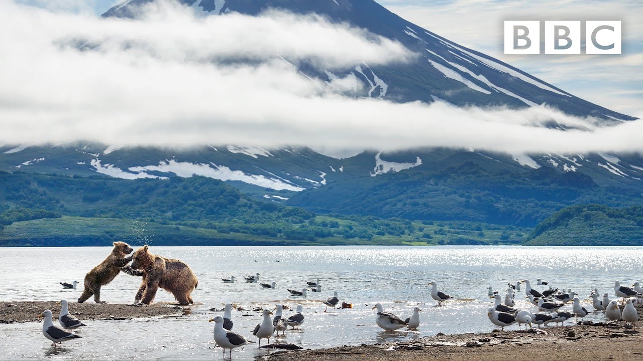 &laquo;Идеальная планета&raquo;: приквел | Новый сериал Дэвида Аттенборо @bbcearth &mdash; BBC
