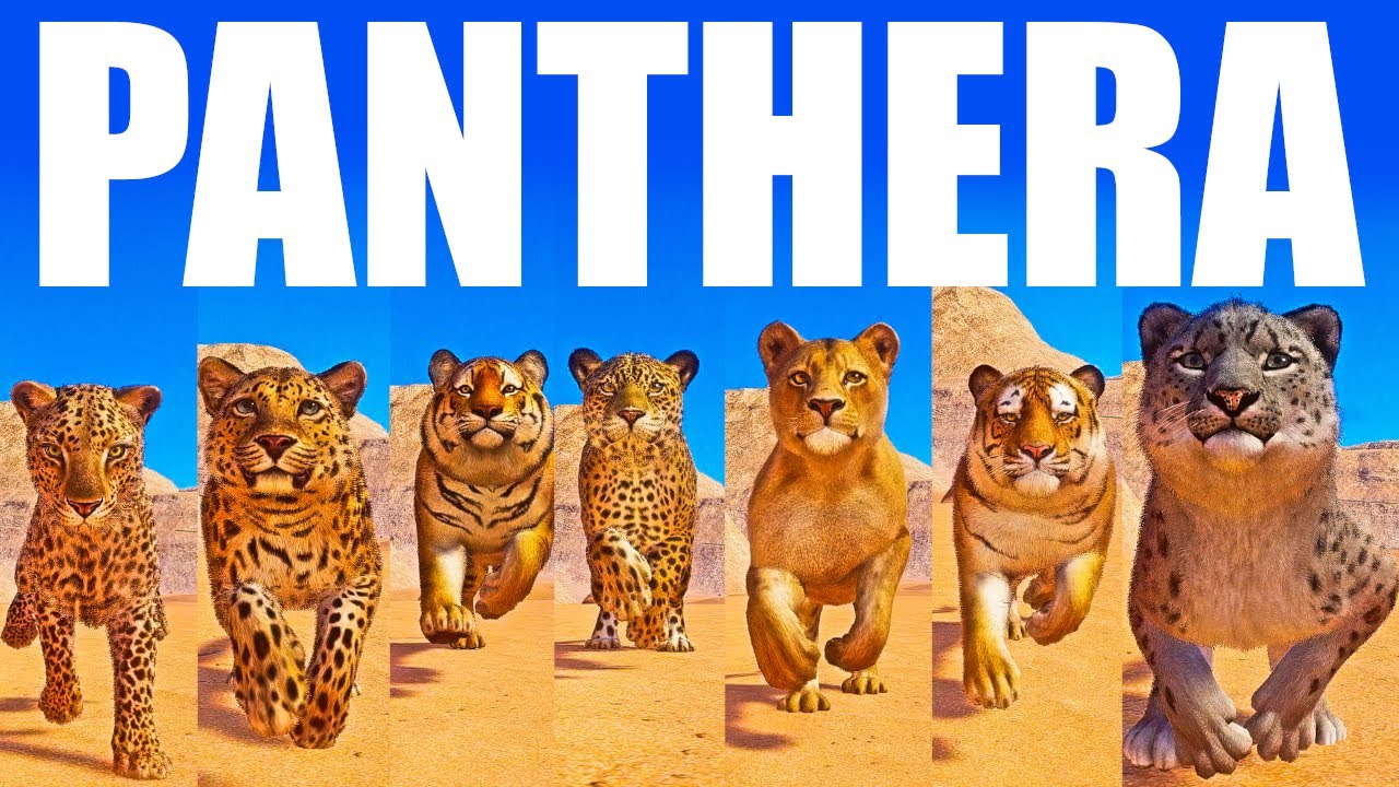 Panthera Category Animals Speed Race in Planet Zoo included Lion, Leopard, Tiger, Jaguar