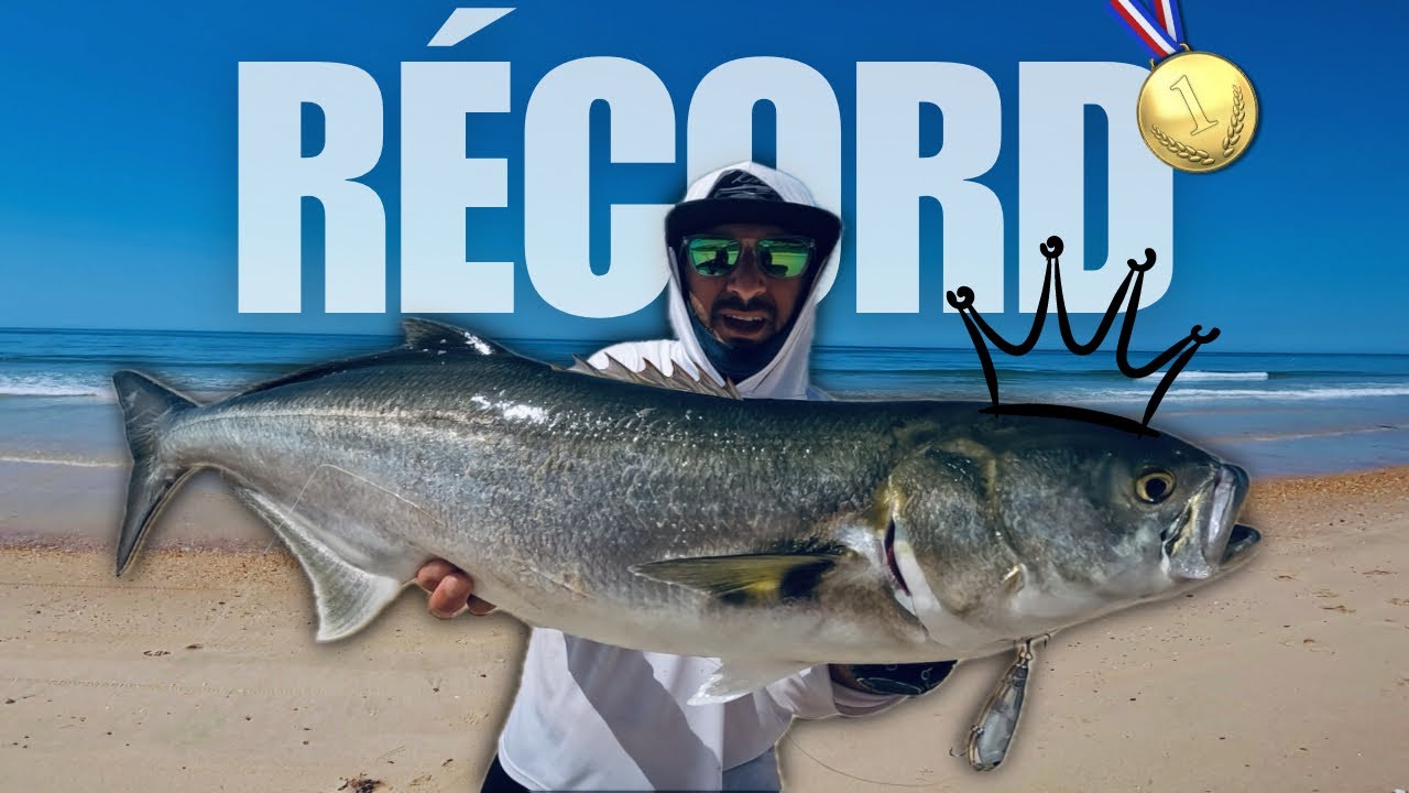 LOCURA!!! de PEZ en la PLAYA de ARENAS GORDAS | PESCA de ANJOVAS GIGANTES a SPINNING de SUPERFICIE