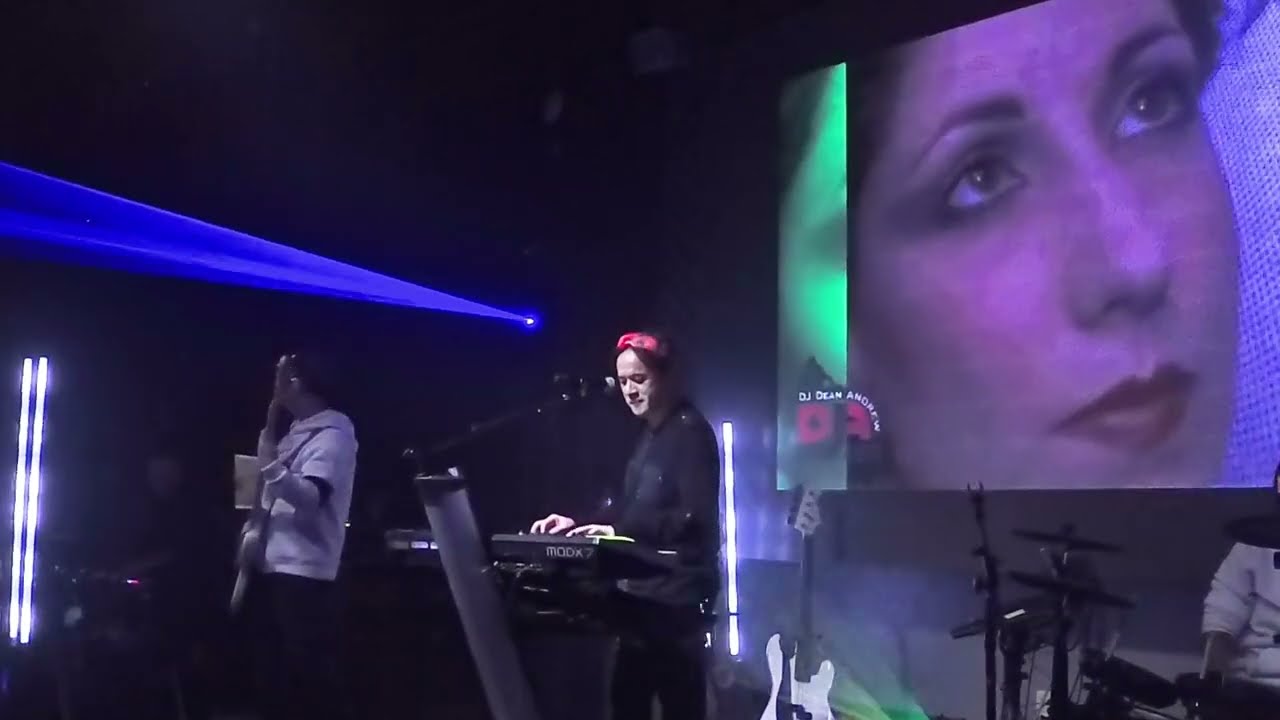 The Perfect Kiss by New Order cover by Thieves Like Us