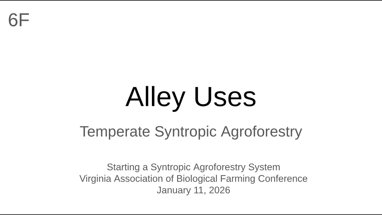 6F Alleys - Temperate Syntropic Agroforestry