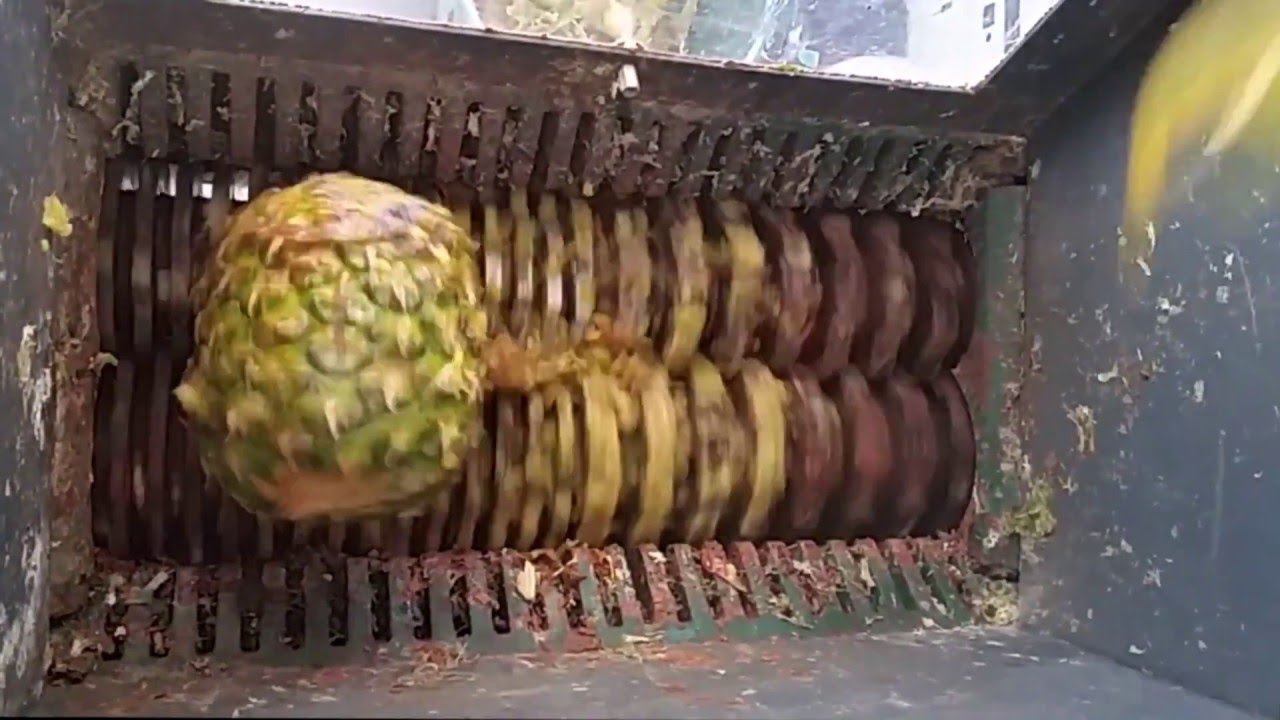 Broyage de déchets de fruit