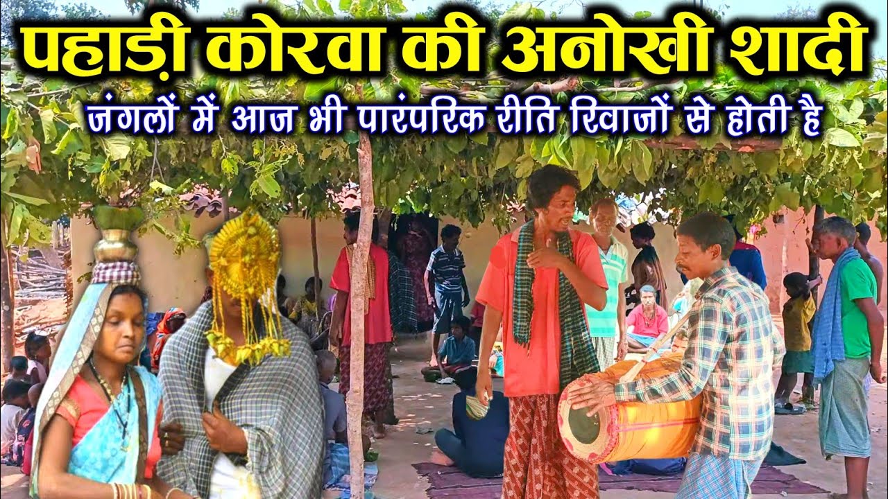 पहाड़ी कोरवा जनजाति की अनोखी शादी। Unique Traditional WeDDing of Pahari Korwa Tribe.