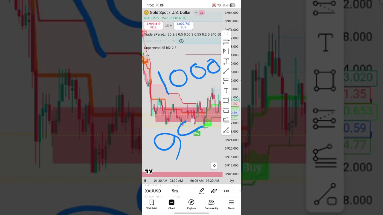 Real review of traders paradise indicator