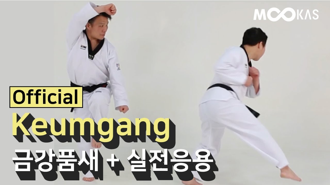 금강품새(KEUMGANG POOMSAE) / 실전응용동작 (Actual Fighting Application )
