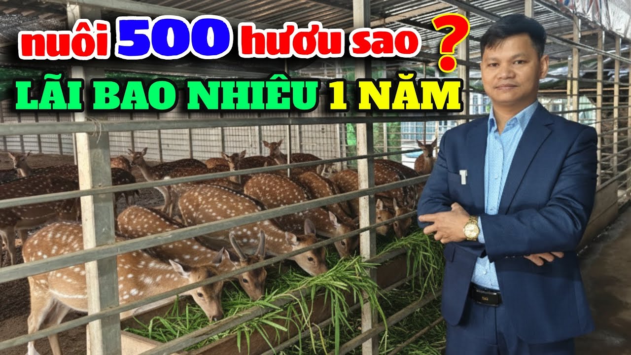 Nhung Hươu Nga 25 Triệu/kg – Lý Do Khiến Dân Nuôi Hươu Phải Suy Nghĩ Lại