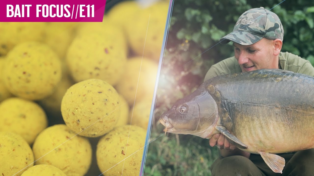 BOILIES! Carp Love Them! BAIT FOCUS//E11 - Mainline Baits Carp Fishing TV