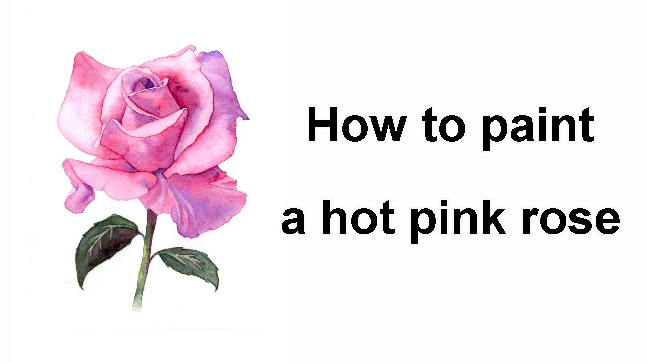 How to Paint a Hot Pink Rose in Watercolour - Drawing/Painting