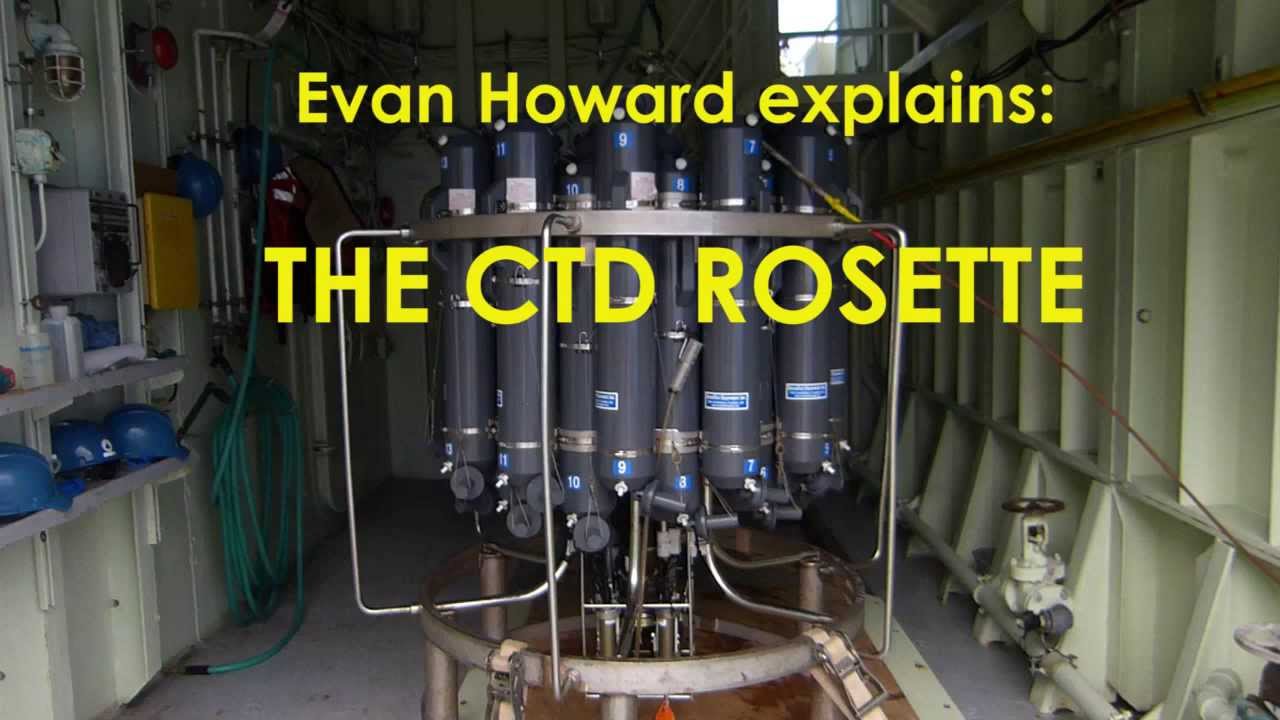 The CTD Rosette