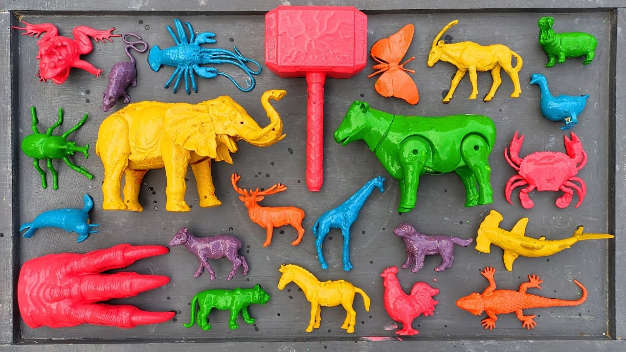 MANTUL!! Membersihkan hewan sapi, bebek, angsa, ayam, gajah, simpanse, singa, unta, buaya, kangguru.