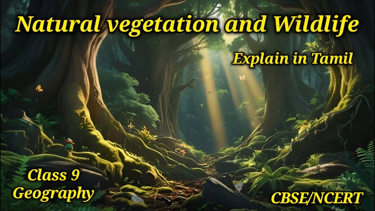 Natural vegetation and Wildlife | Class 9 | CBSE NCERT | geography | explain in Tamil