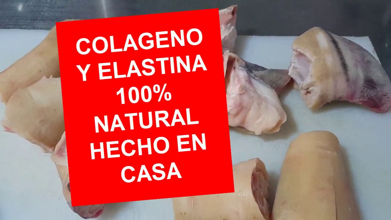 COLÁGENO Y ELASTINA 100% NATURAL, HECHO EN CASA  ( I PARTE)