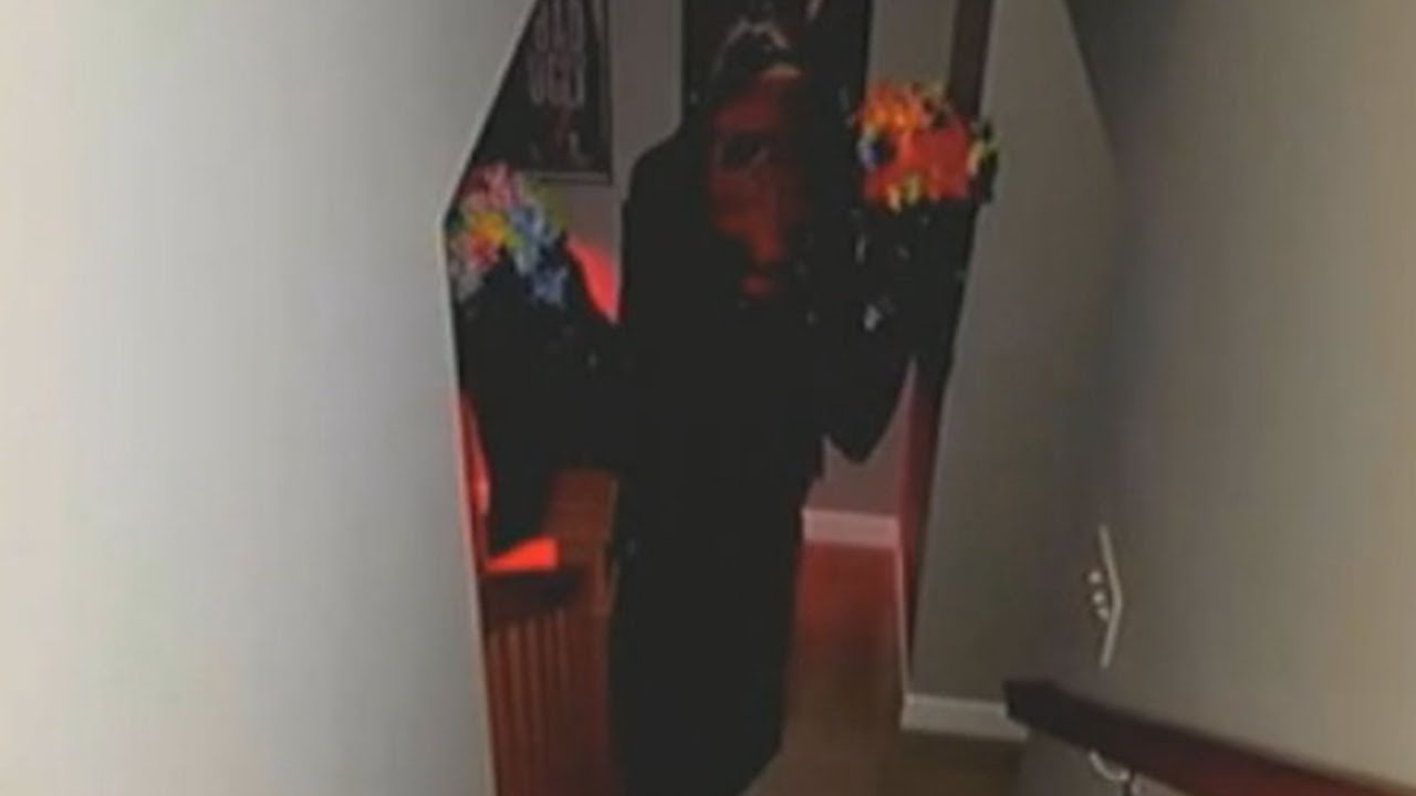 He's Back - A Rolling Giant Fan Video - @kanepixels