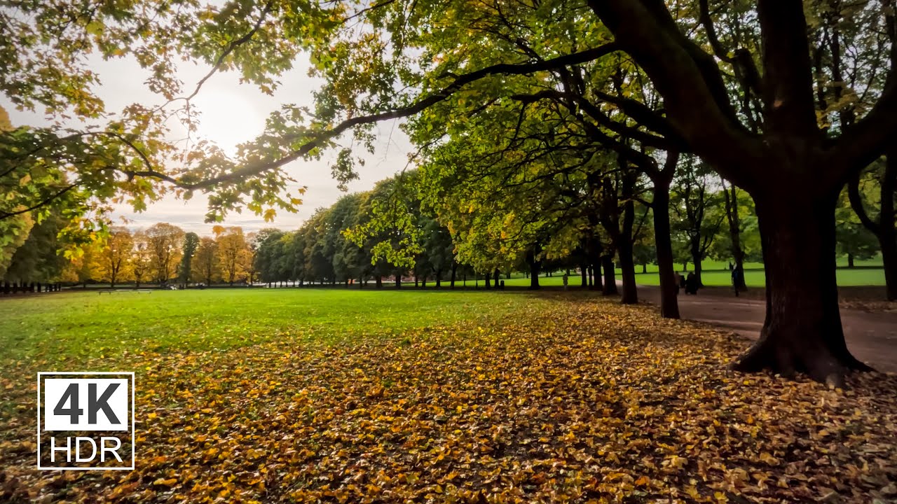 Relaxing autumn walk through Frogner Park | Oslo, Norway | ASMR | Ambient walks