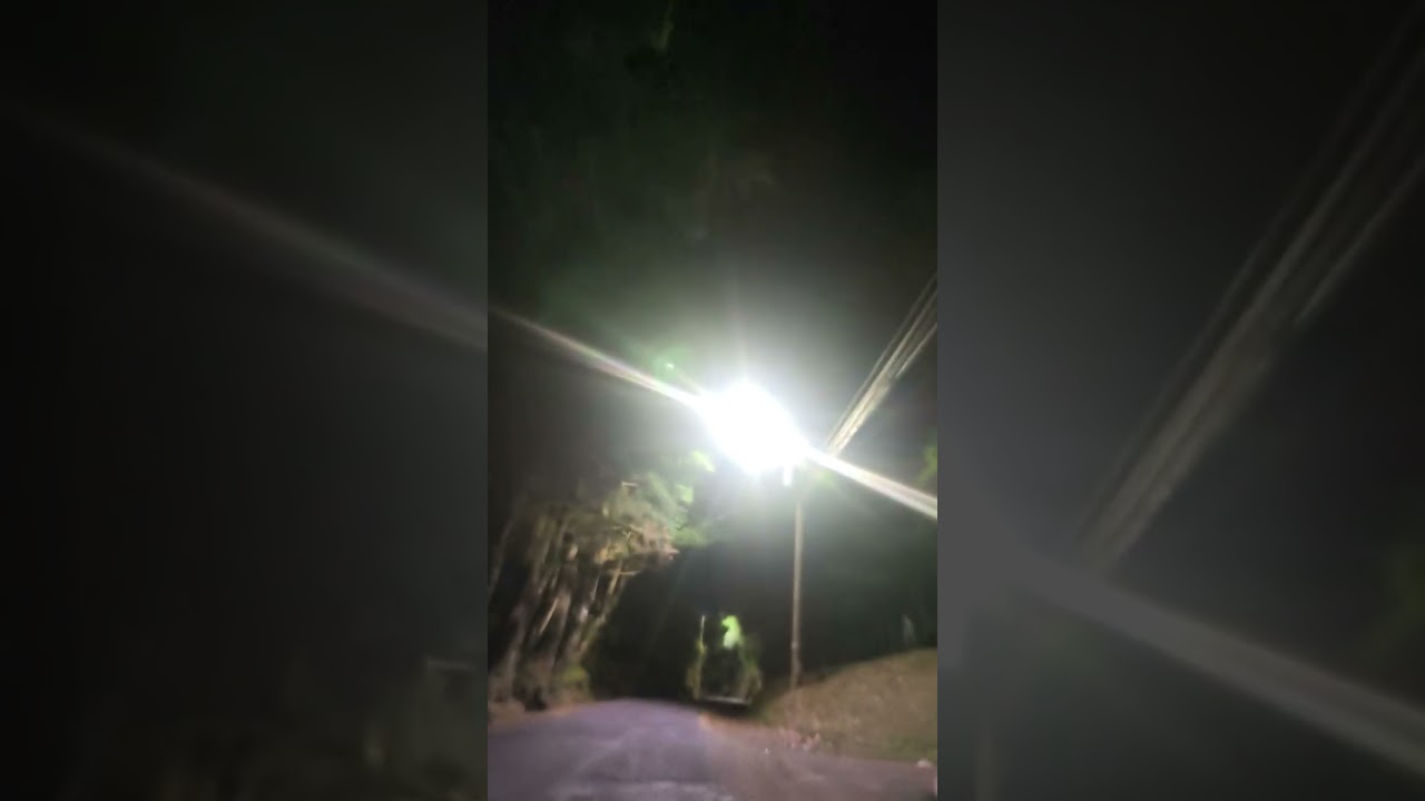 SENDEROS NOCTURNOS 
