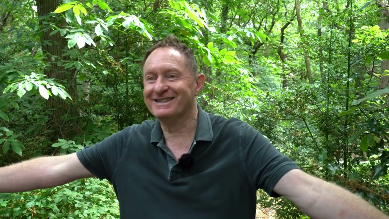 Woodland Indicators - recognising ancient woodland