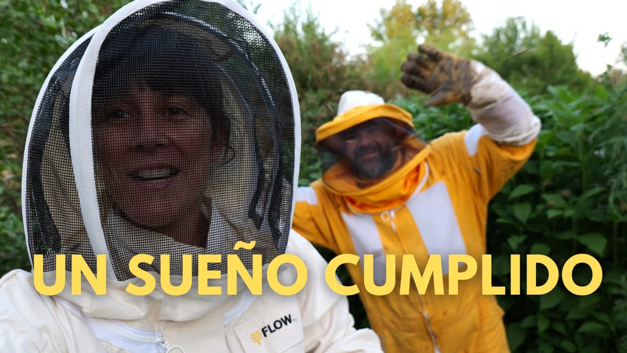 Hasta que lo tienes, no sabes! 😭💛🐝  | Las abejas mejoraron todo (De Langstrom a #Flowhive  VLOG)