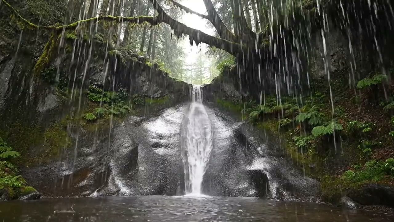 Heavy Rain on a Beautiful Forest Path - ASMR, Calming, Healing Rain Sounds, Meditation, Yoga