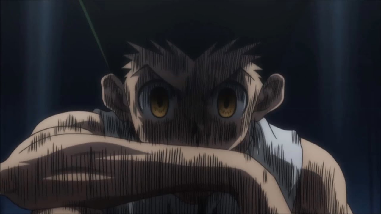 HunterxHunter 2011 | Hunters are EVIL(Extended)