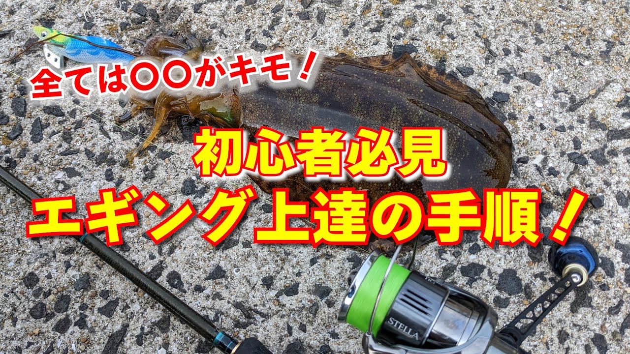 【初心者必見】エギング上達法！大切なことを間違えてませんか？イカが釣れない方は〇〇で全てが変わる！