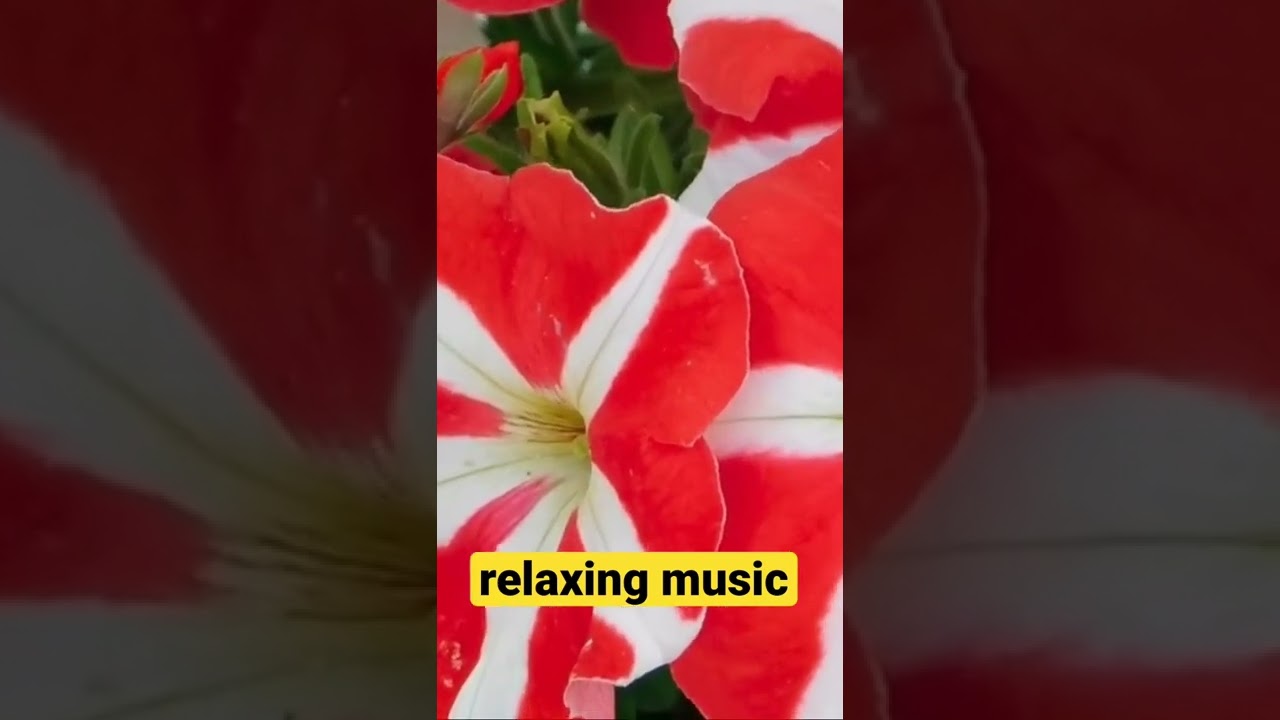 relaxing music