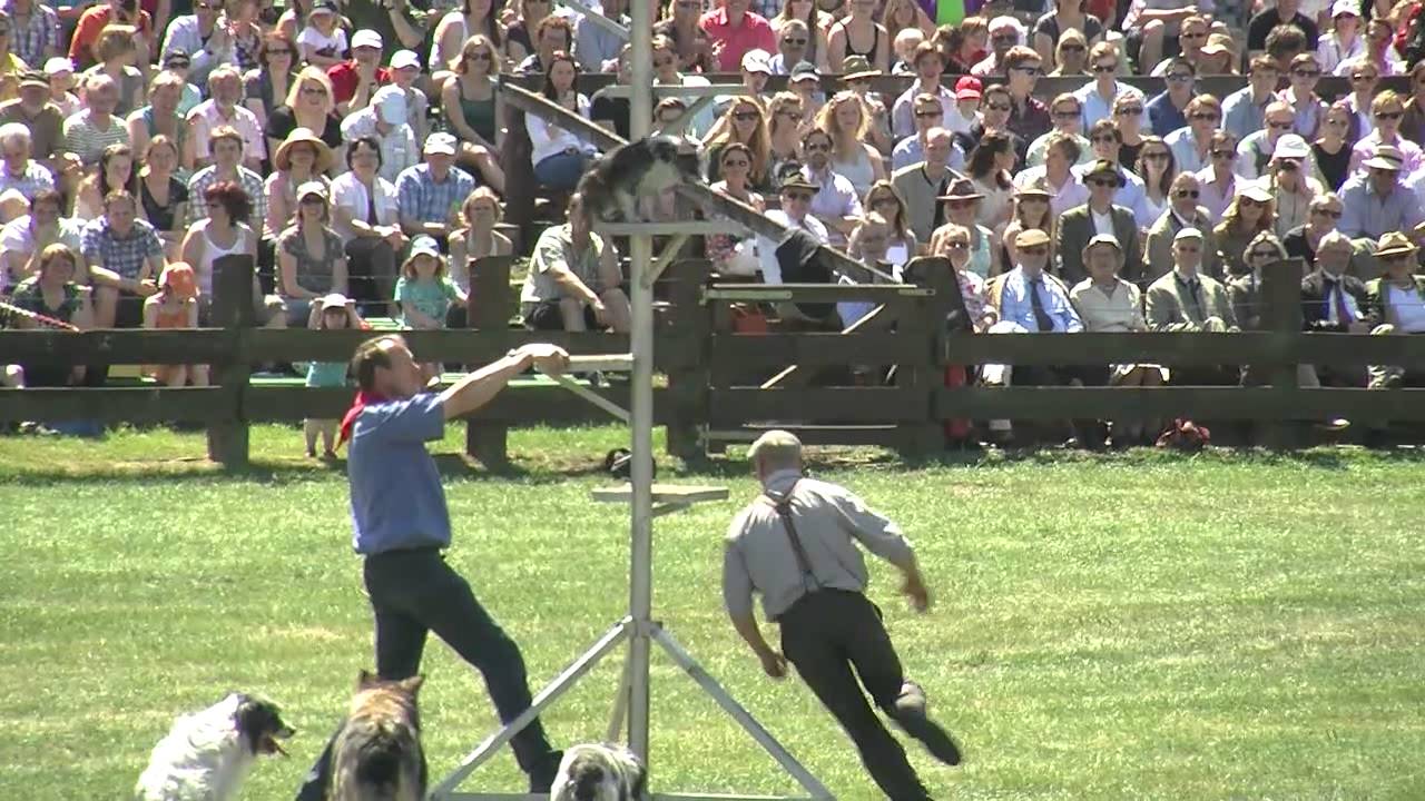 Dülmener Wildpferdefang 2012