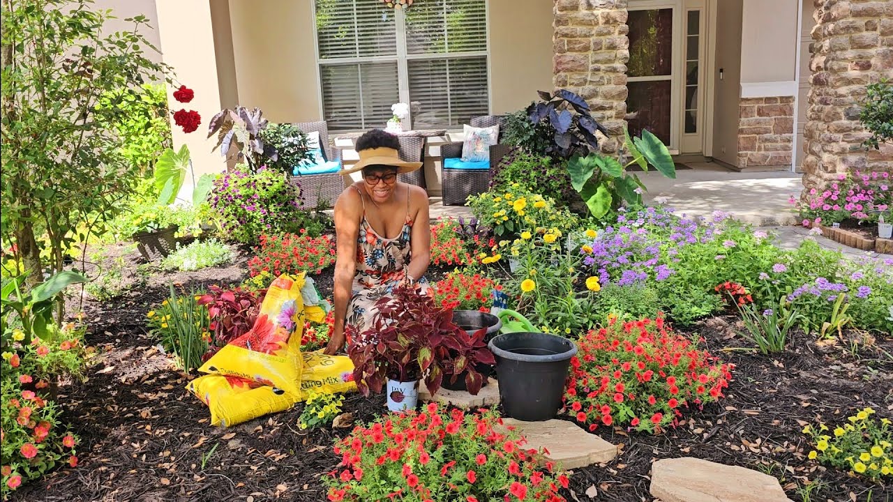 Zone 9B Gardening: Proven Winners Colorblaze Rediculous 🌱🌞