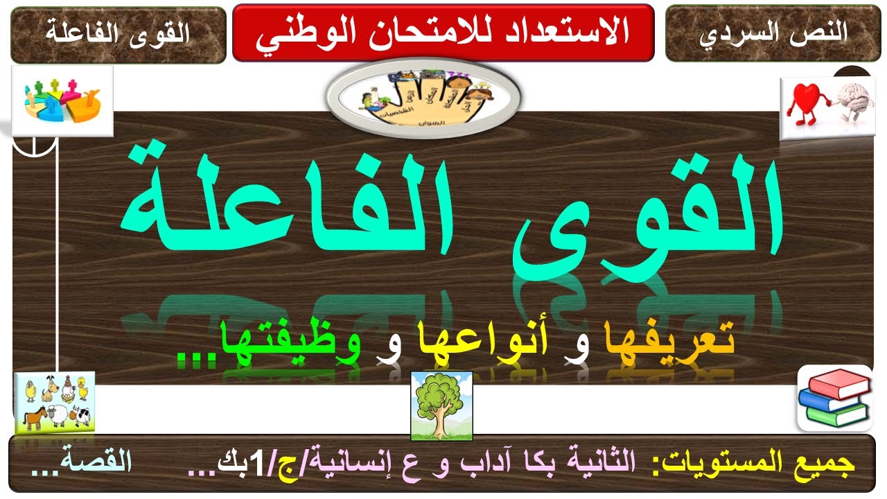 القوى الفاعلة: تعريفها و أنواعها و وظائفها