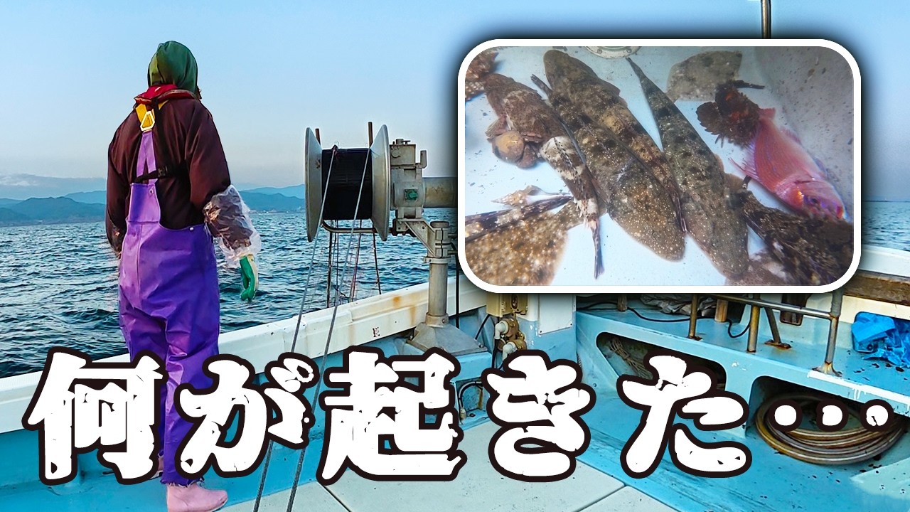えっ！？いつも獲れるカワハギが突然消えた…建網漁に異常事態！
