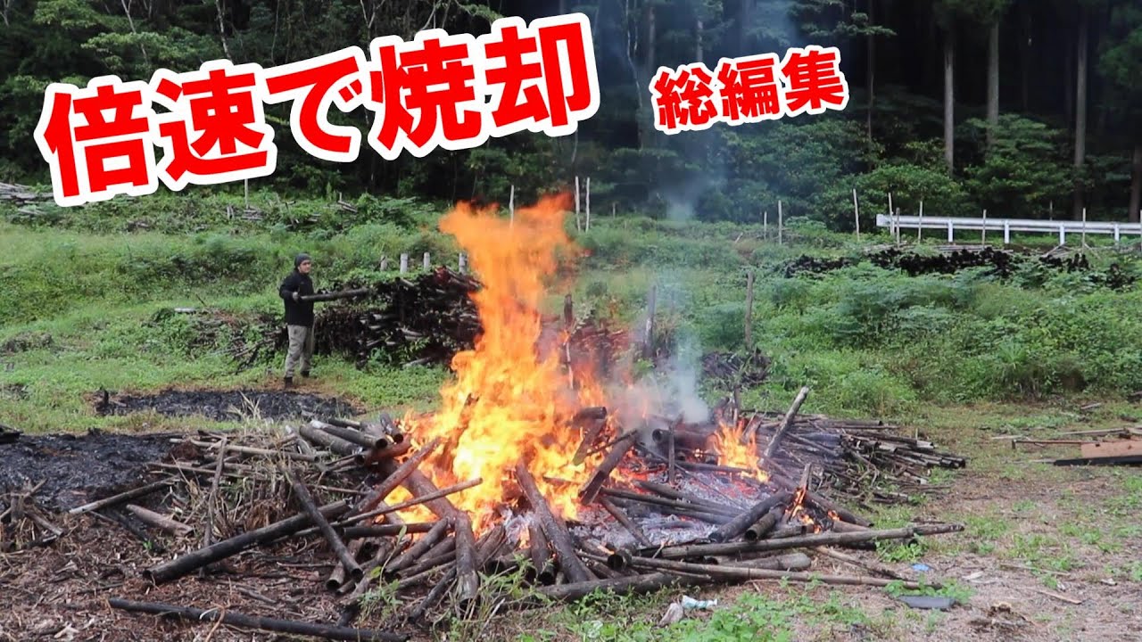 倍速映像が爽快！枯れ竹処理と進化する畑作りの記録｜燃える竹が気持ちいい