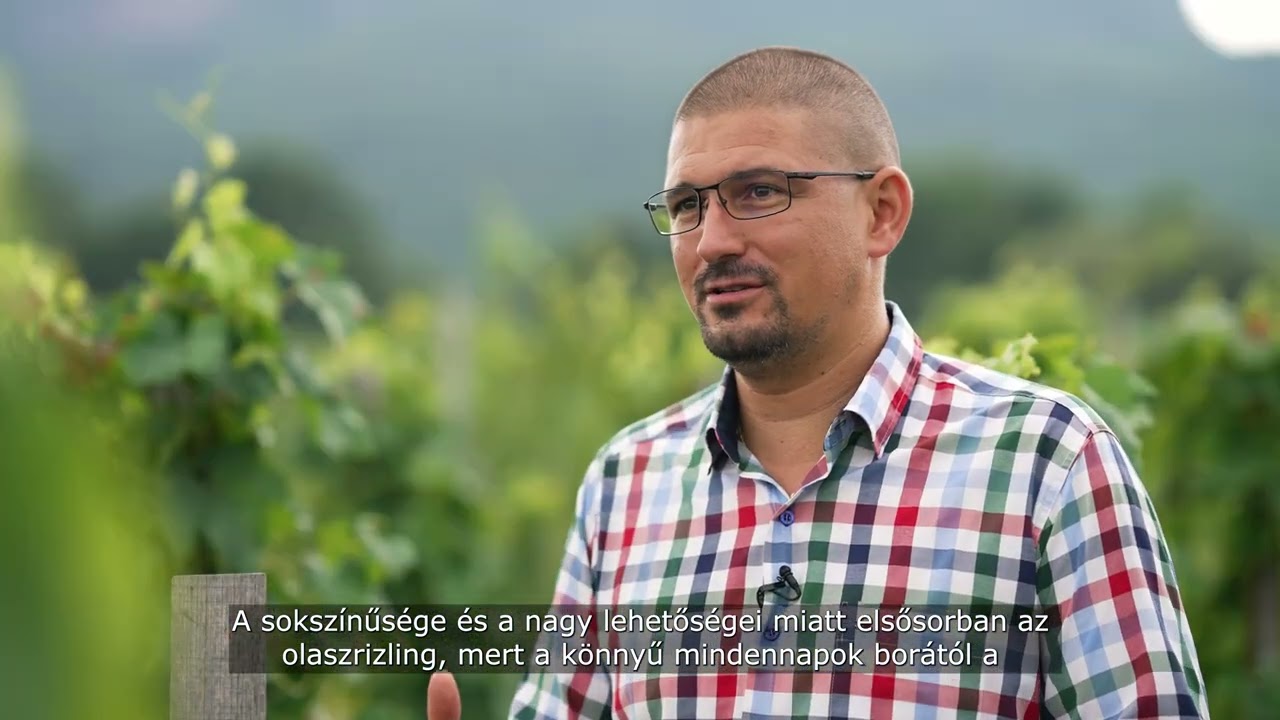 Borbély Tamás - Borbély Családi Pincészet - Badacsony