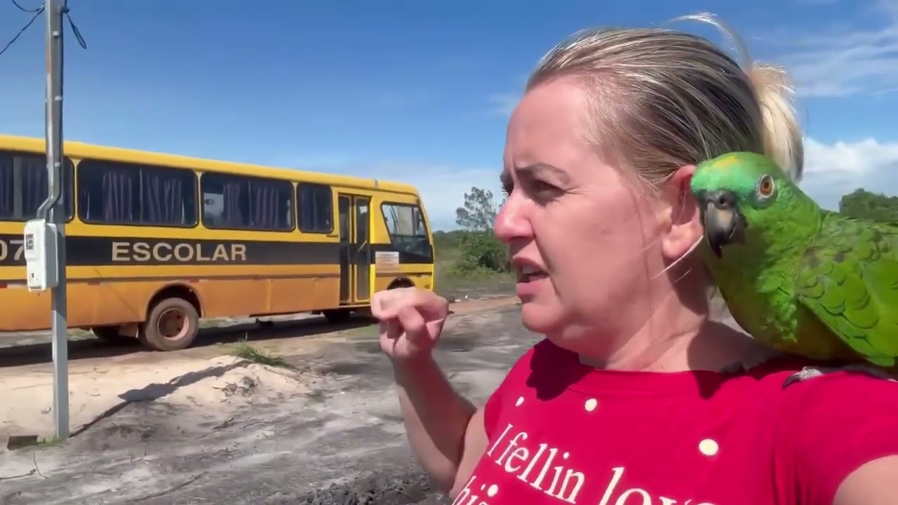 DIA DE PLANTAR CAPINHA&Ccedil;U