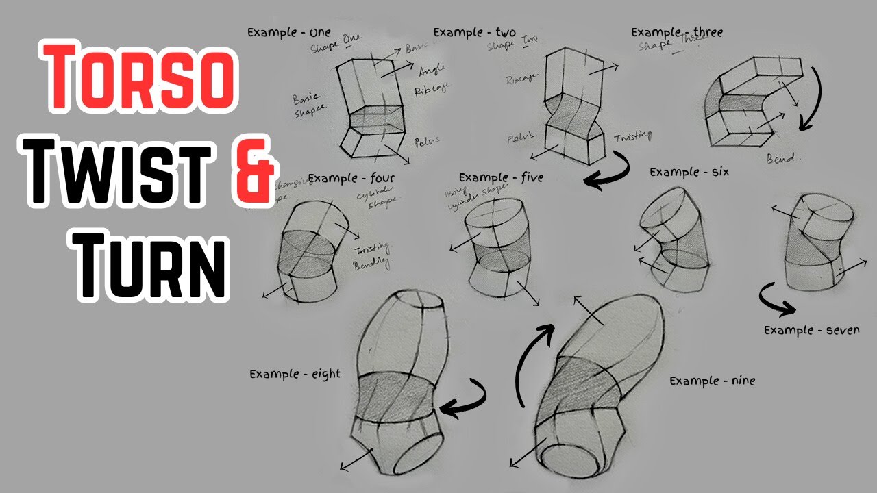 How to Draw Dynamic Torso Poses in 4 Simple Steps | Steps for Beginners