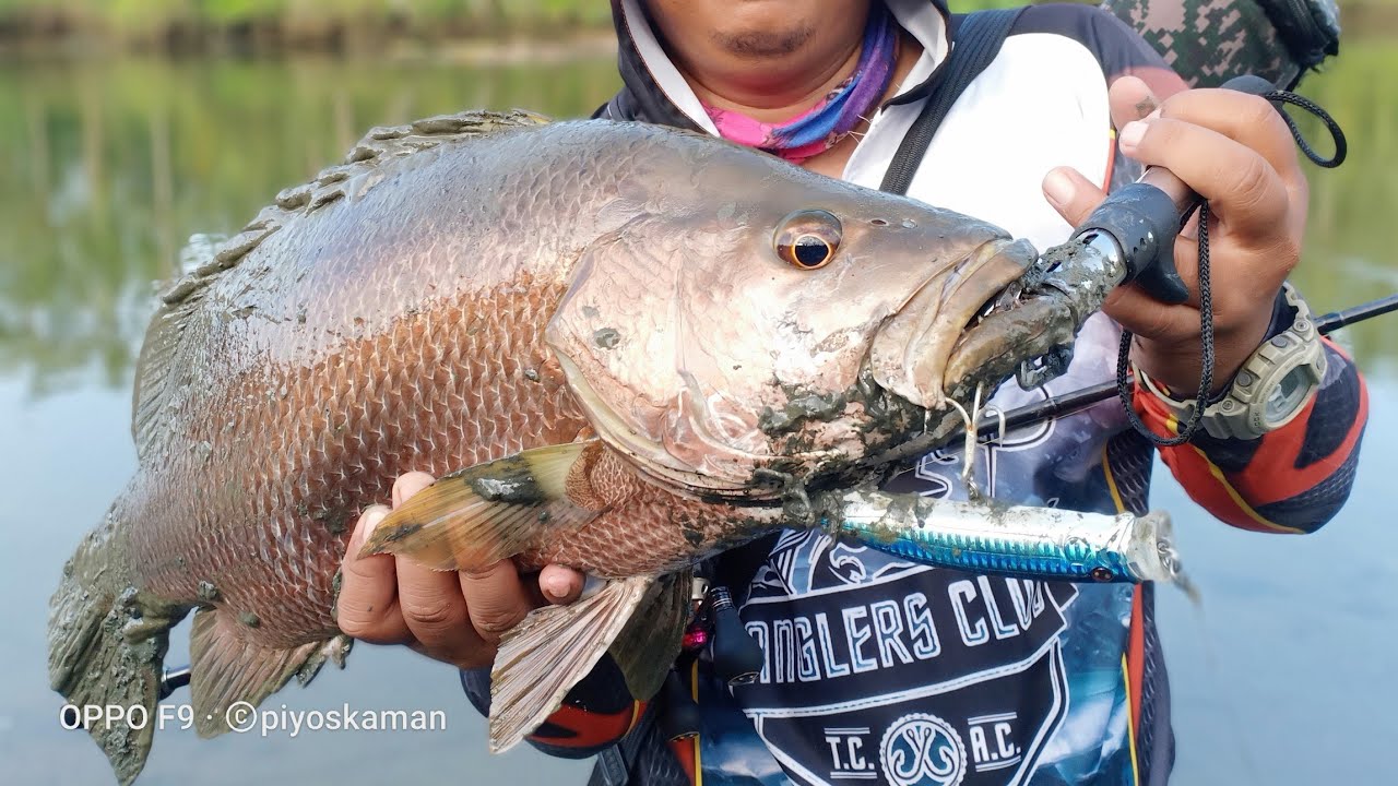 BLACK BASS IN THE PHILIPPINES(episode 1)