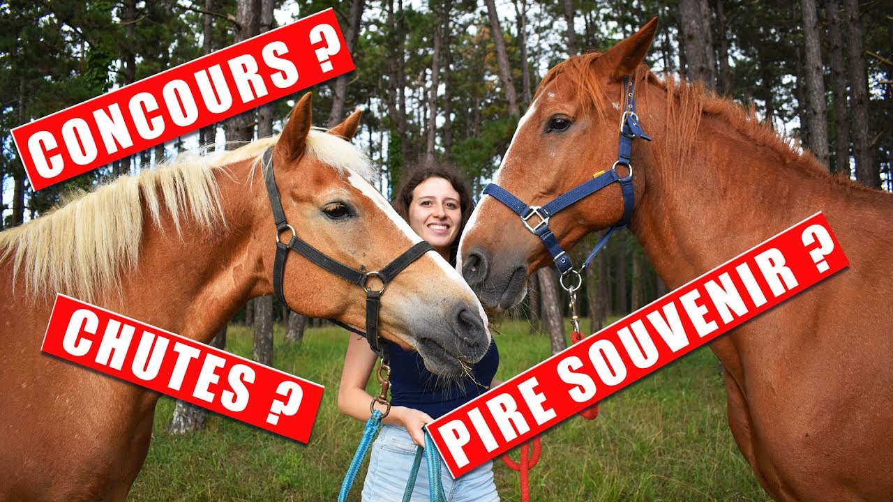 VOS QUESTIONS SUR OLYMPE & RAPIDO