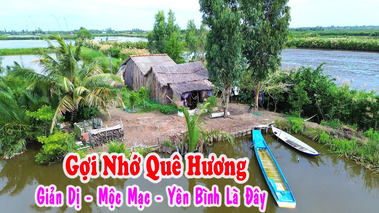 Khám Phá Vùng Quê Thới Bình Cà Mau - Quanh Có, Heo Hút Đi Một Mình  Lạnh Sóng Lưng Toàn Là Chồi Lá