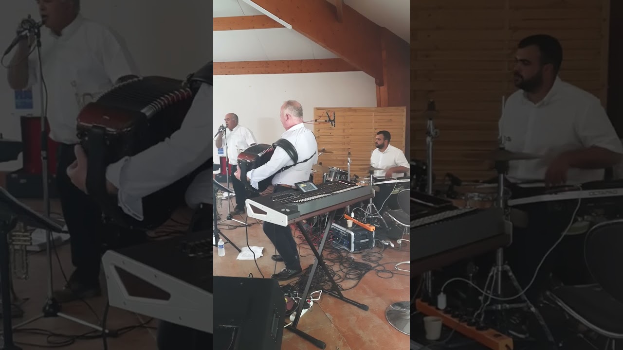 d yann sentimental  accordeon