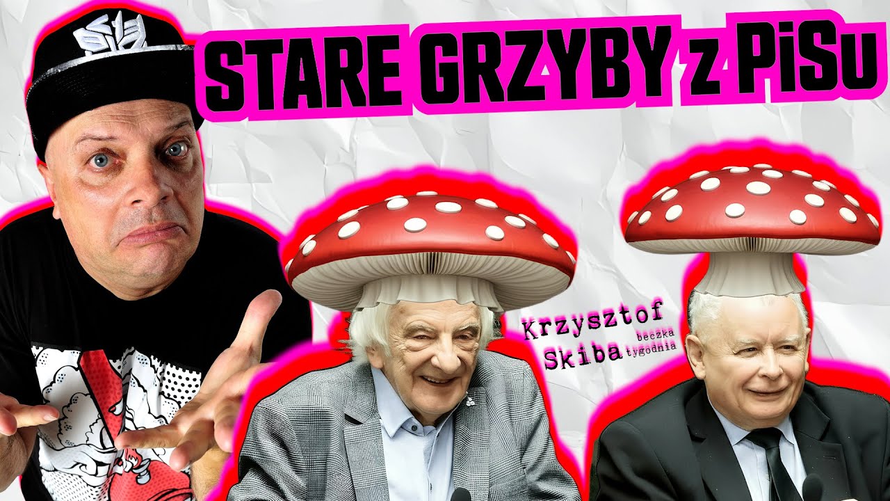 STARE GRZYBY z PiSu | BECZKA TYGODNIA odc. 7 | Krzysztof Skiba Kanał Oficjalny
