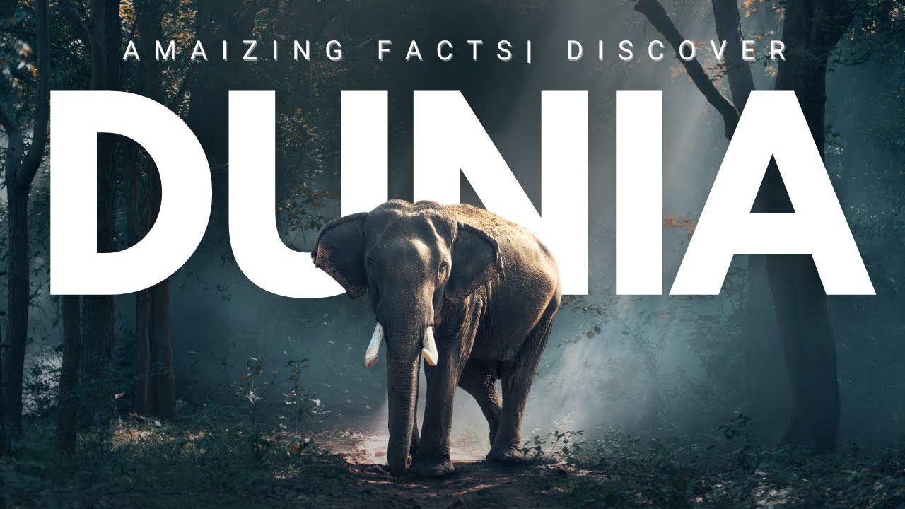 Discover Dunia | Explore the World, Facts, Mysteries & Wonders 🌍