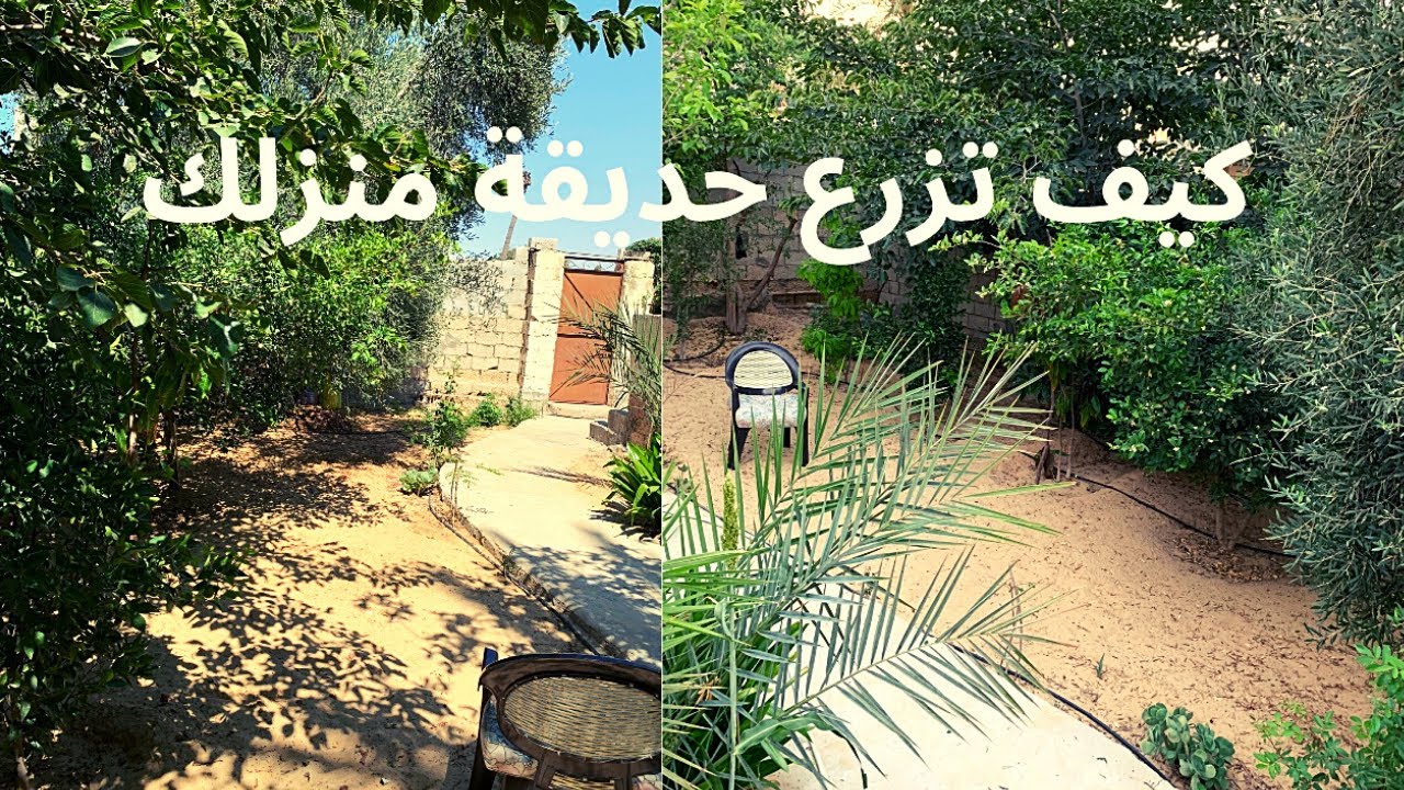 كيف تزرع اربعين شجرة مثمرة في حديقة منزلك