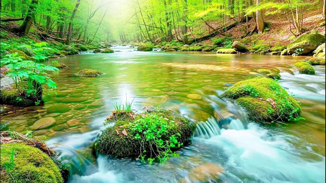 Relaxing River Sound for Deep Sleep | Health Boosting Ambience for Peaceful Rest