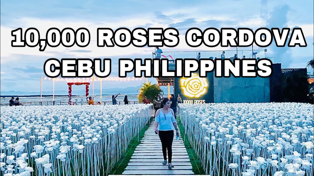 10,000 ROSES CORDOVA CEBU PHILIPPINES Day and Night View/CECILIA THE EXPLORER