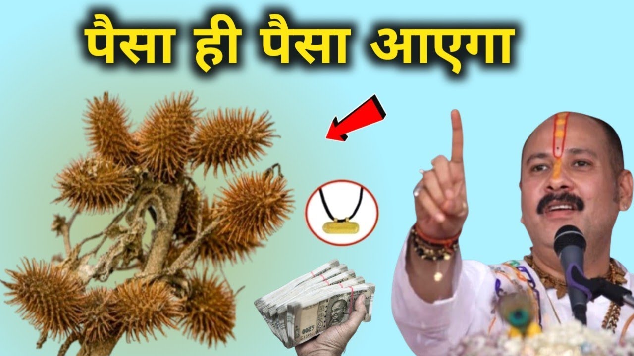 हीरे से भी कीमती ये पौधा, पहचान लो अद्भुत और चमत्कारी जंगली जड़ी बूटी छोटा धतूरा, मिले तो घर ले आना