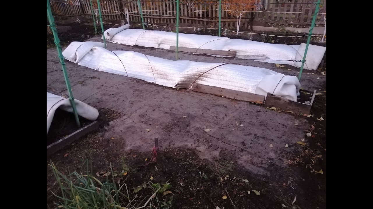 Укрытие виноградника на зимовку  в Сибири