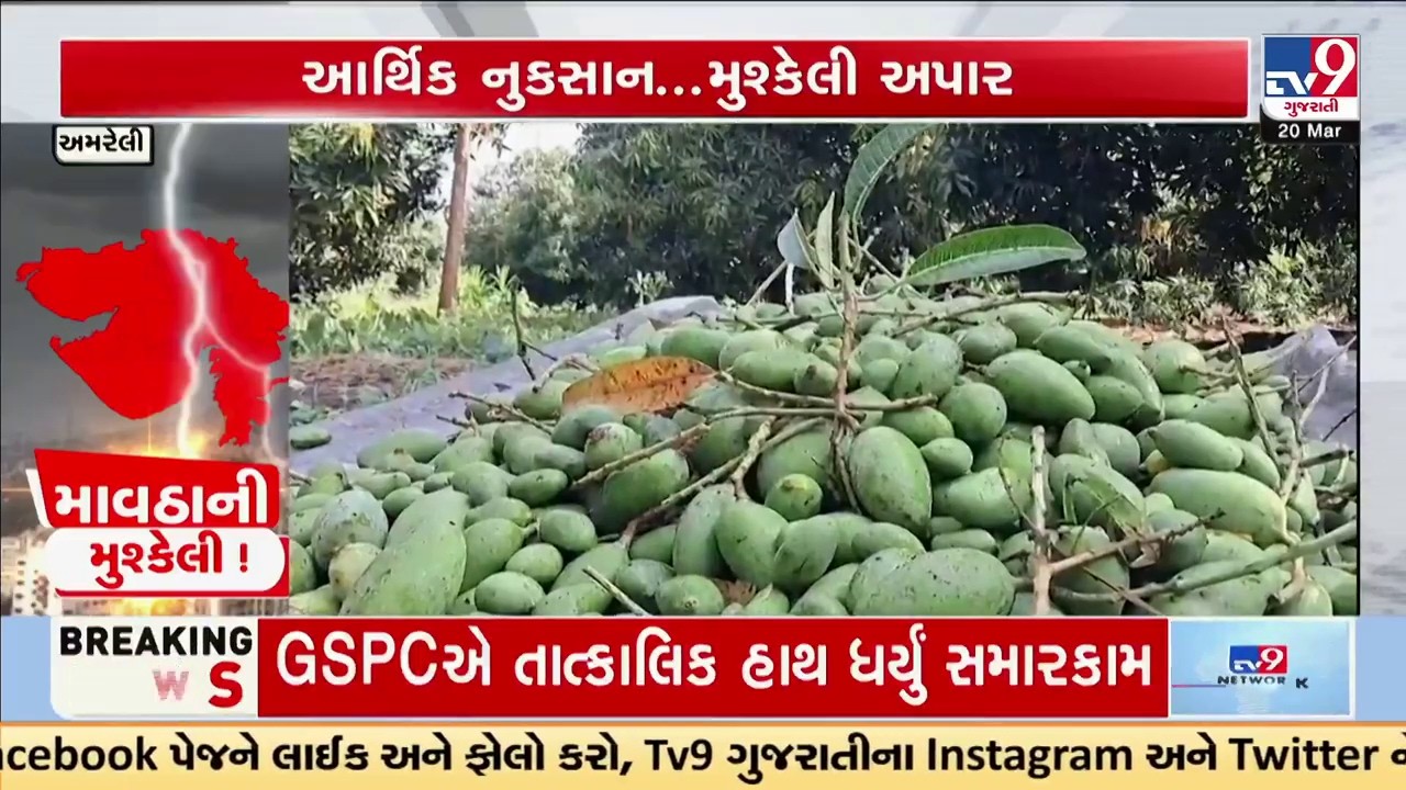 કમોસમી વરસાદથી કેરીનો પાક નાશ પામ્યો, ખેડૂતો સંકટમાં | Unseasonal Rain | Mango Crops | TV9Gujarati