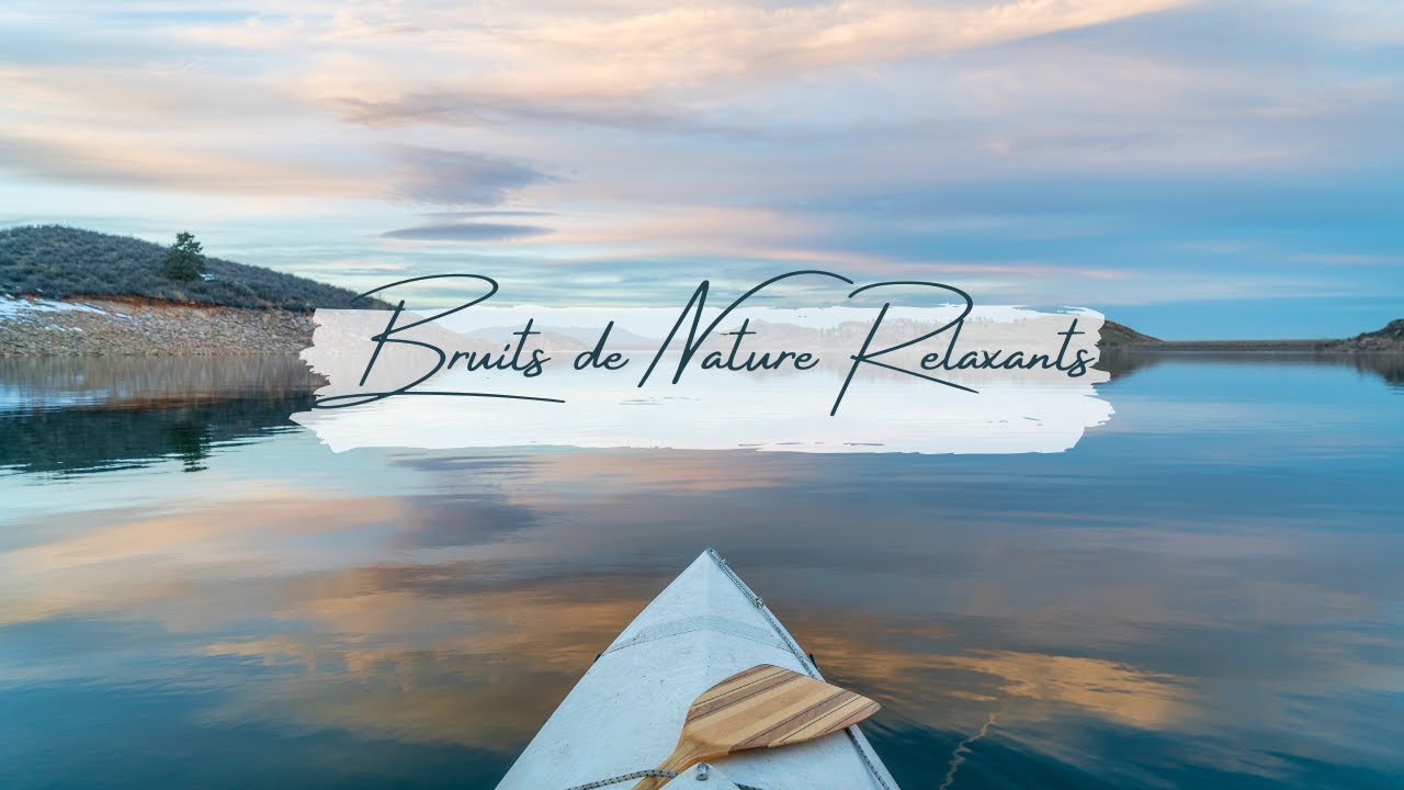 Bruits de Nature Relaxants : Chants d&rsquo;Oiseaux et Bruit d&rsquo;Eau pour M&eacute;ditation 🌿🌊✨